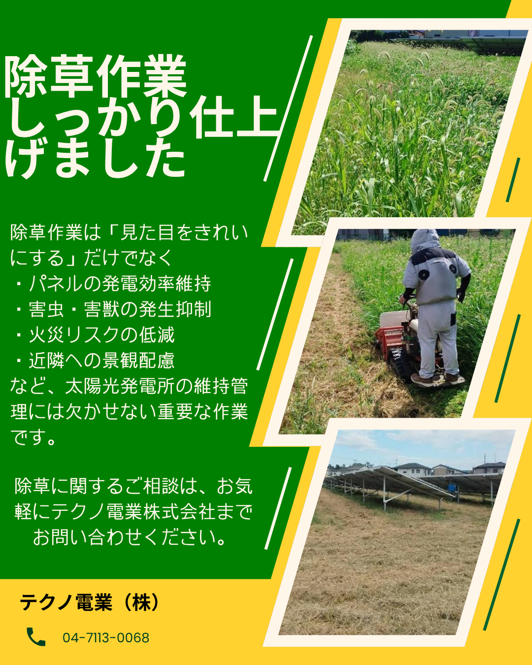【除草作業、しっかり仕上げました🌿】